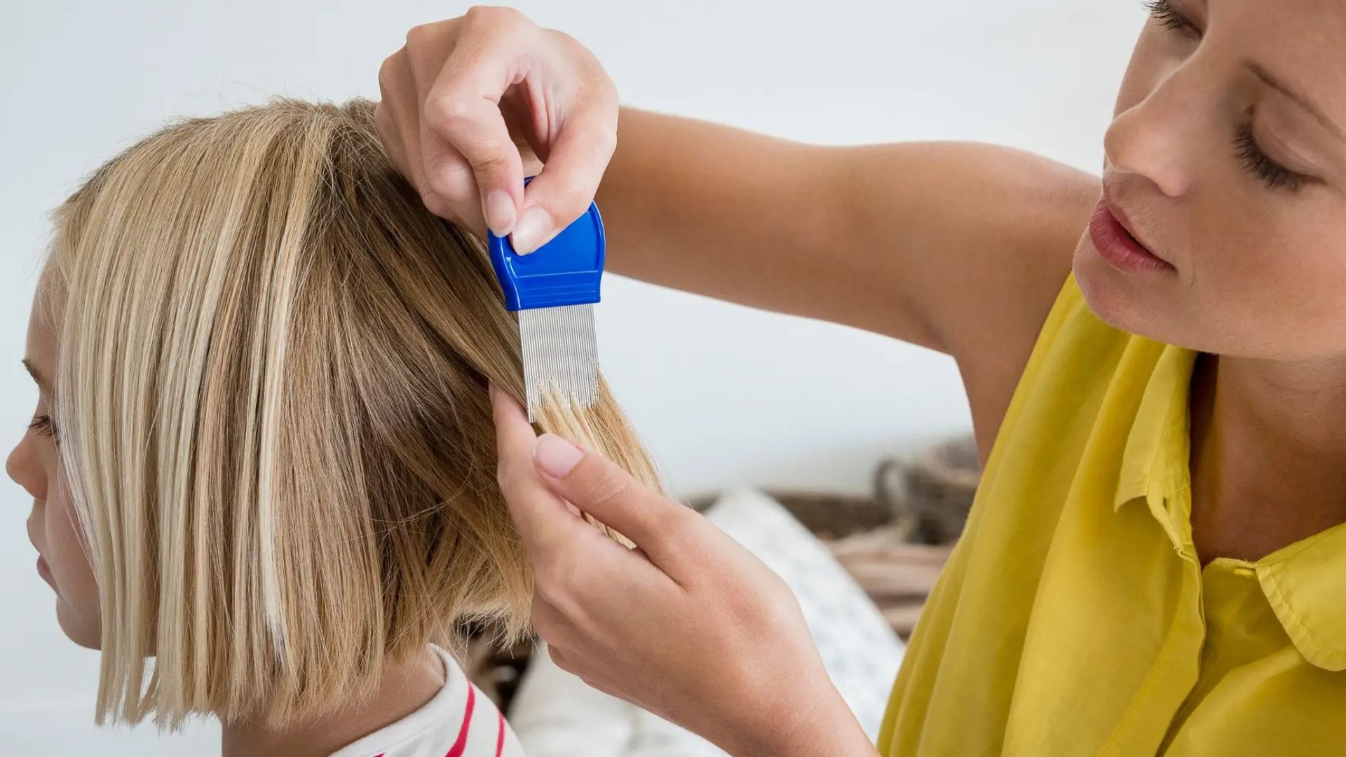 Lice Treatment2